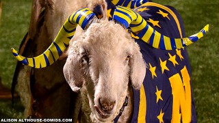NAVY SIGNING DAY REVIEW: QUARTERBACK Goat-640