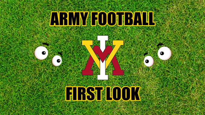 Eyes on VMI logo